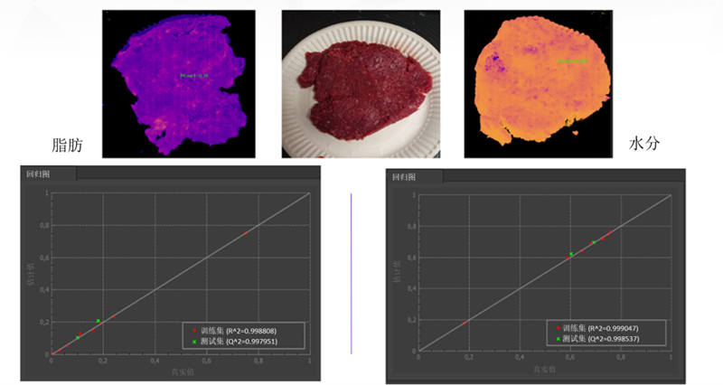 圖 9：事實證明，Specim FX17 高光譜相機(jī)及其 NIR 光譜范圍非常善于準(zhǔn)確測量肉末的水分和脂肪含量