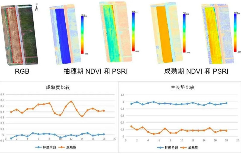 Specim AFX10無人機(jī)載高光譜成像系統(tǒng)記錄小麥在不同時(shí)期的歸一化植被指數(shù)和植物衰老反射指數(shù)