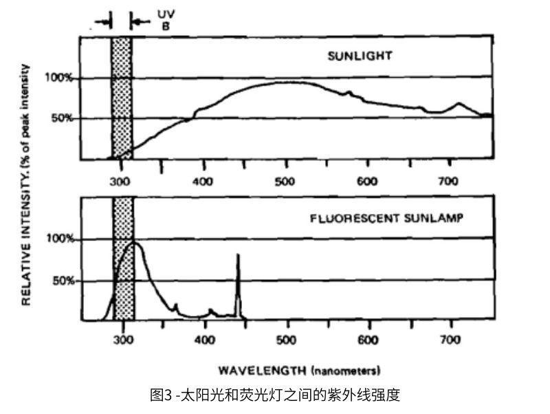 圖3太陽光和熒光燈之間的紫外線強(qiáng)度