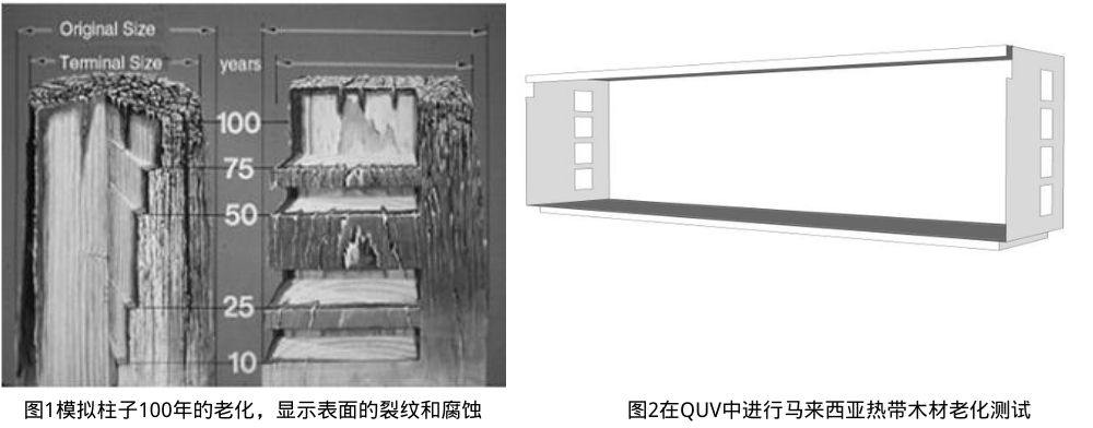 圖1模擬木材100年的老化情況&圖2在QUV中進(jìn)行馬來西亞熱帶木材老化測試