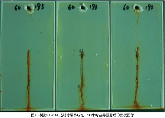 圖13-樹脂1+WB-C透明涂層系統(tǒng)在1200小時鹽霧暴露后的面板圖像